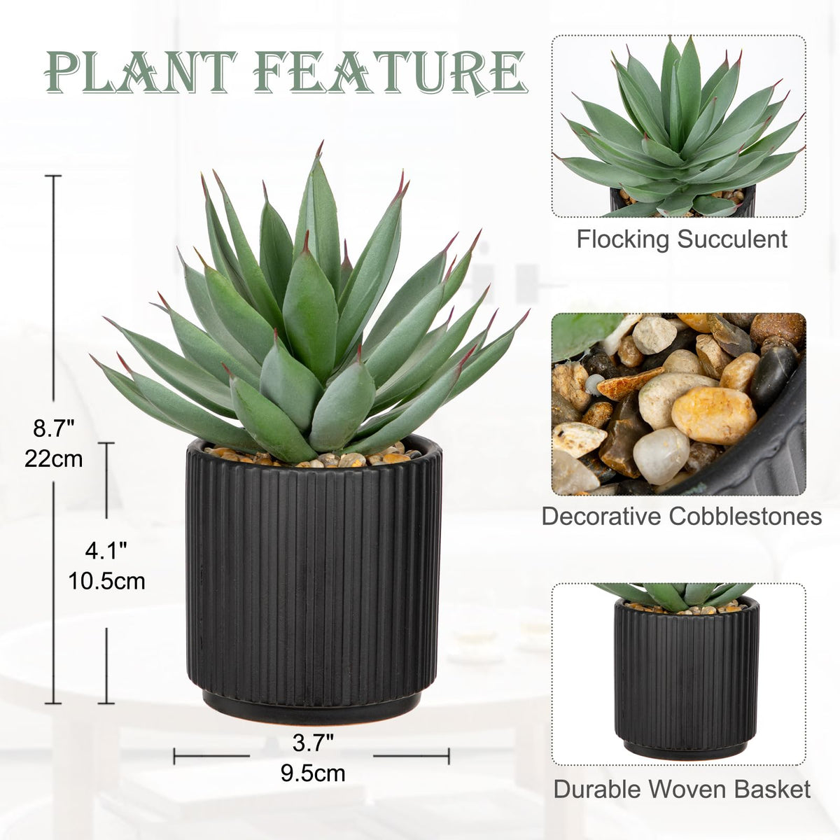 Briful succulents in white pot with realistic texture for maintenance-free greenery.