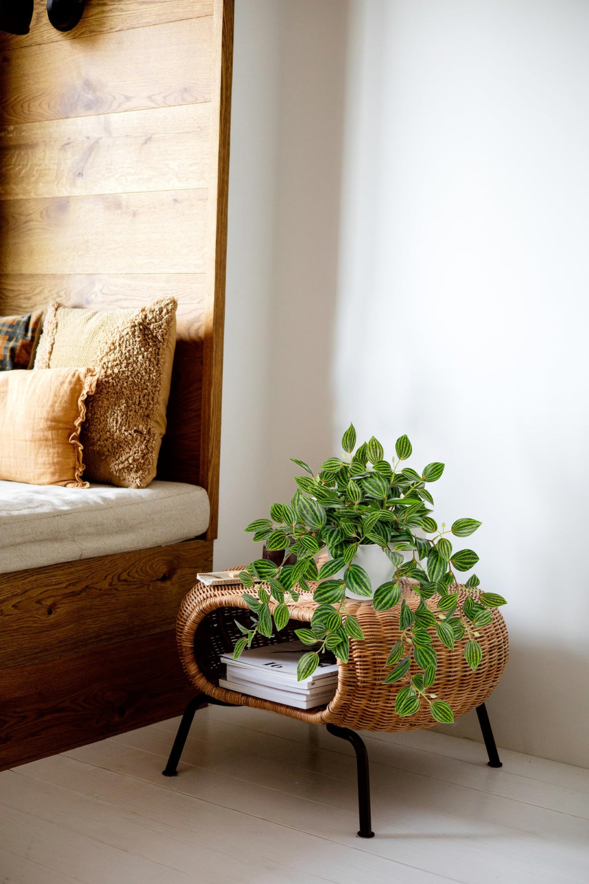 Briful Durable fake plant, no watering needed.