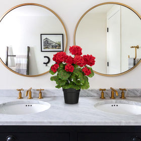 Briful decor suitable for home or office with easy maintenance.