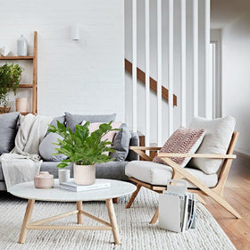 Briful ZZ plant for entryway or wedding decor ideas