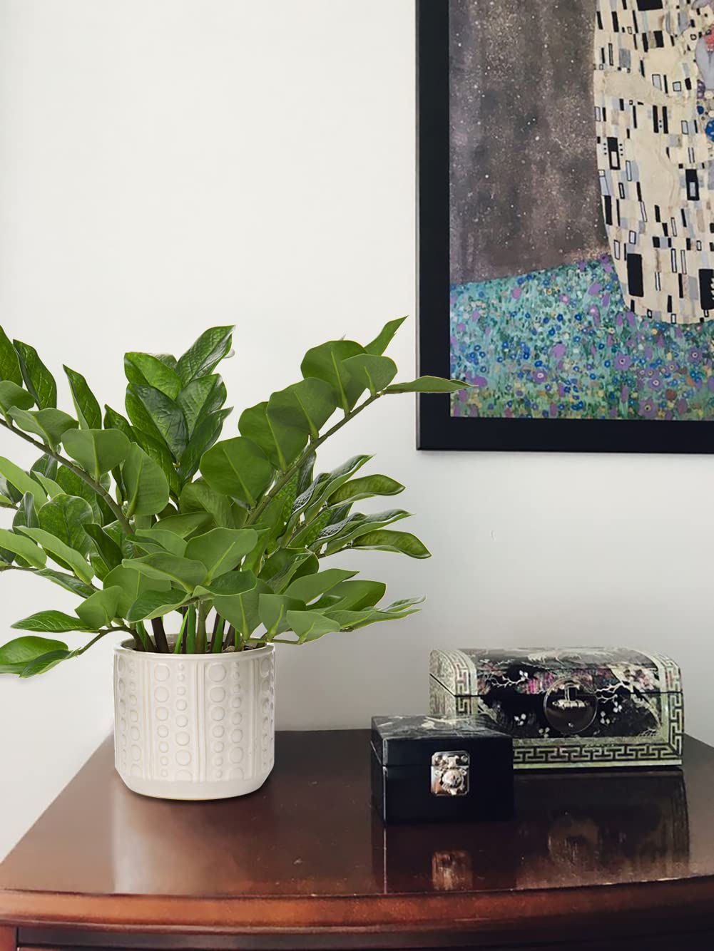 Briful maintenance-free plant suited for year-round display