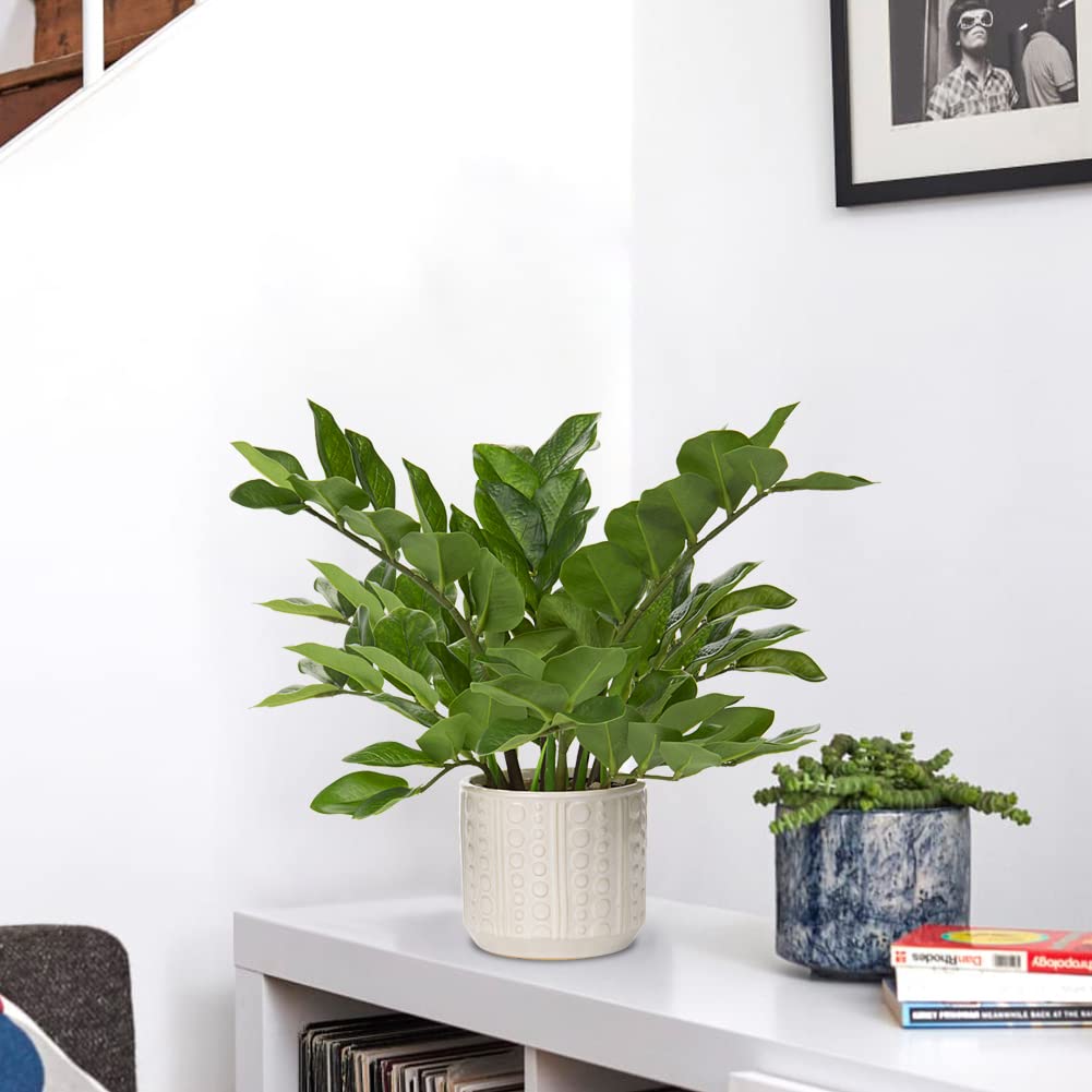 Briful faux plant used as office desk decor