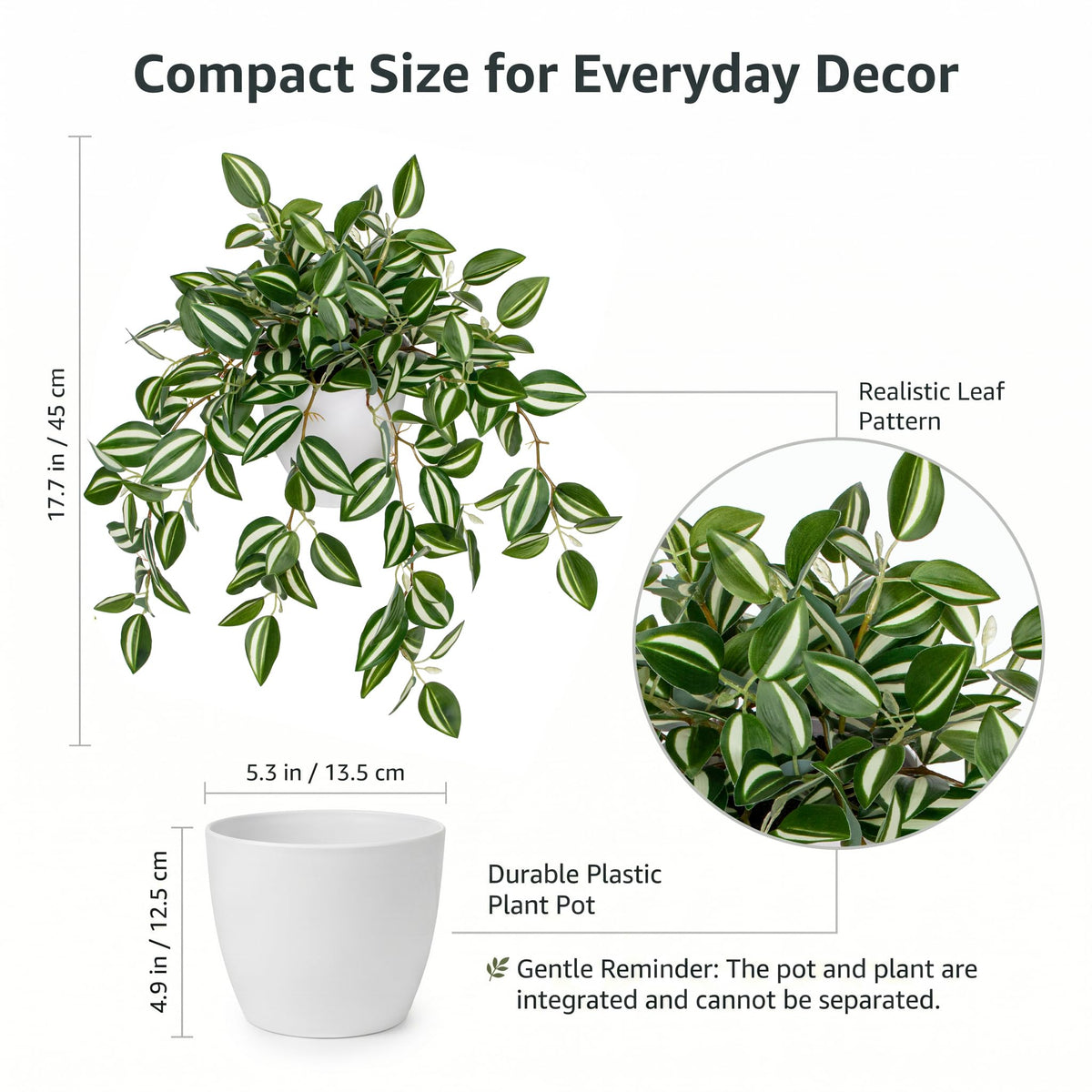 Briful faux watermelon peperomia trailing vines add greenery to bathrooms and offices.