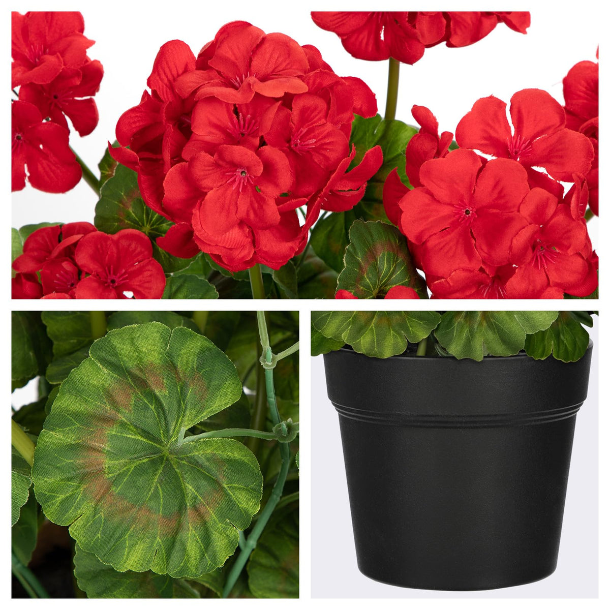 Briful geranium blooms in a terracotta-based pot add rustic charm.