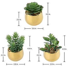 Briful gold ceramic pots display realistic succulents on shelves or tables
