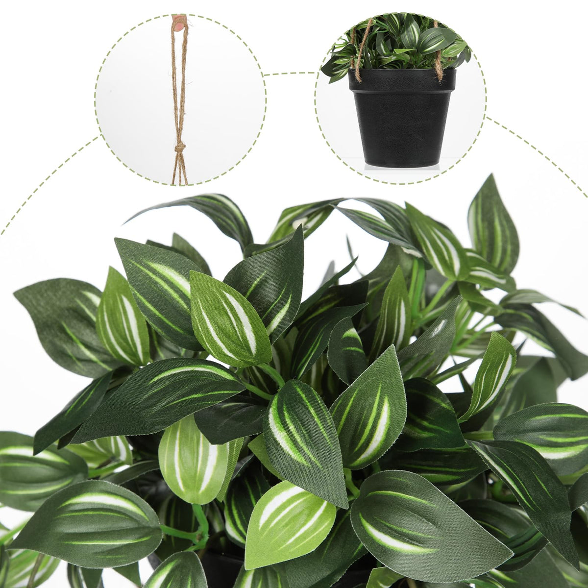 Briful hanging plant with attached rope ready for ceiling or wall display.