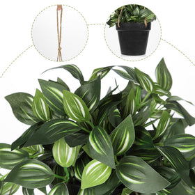 Briful hanging plant with attached rope ready for ceiling or wall display.