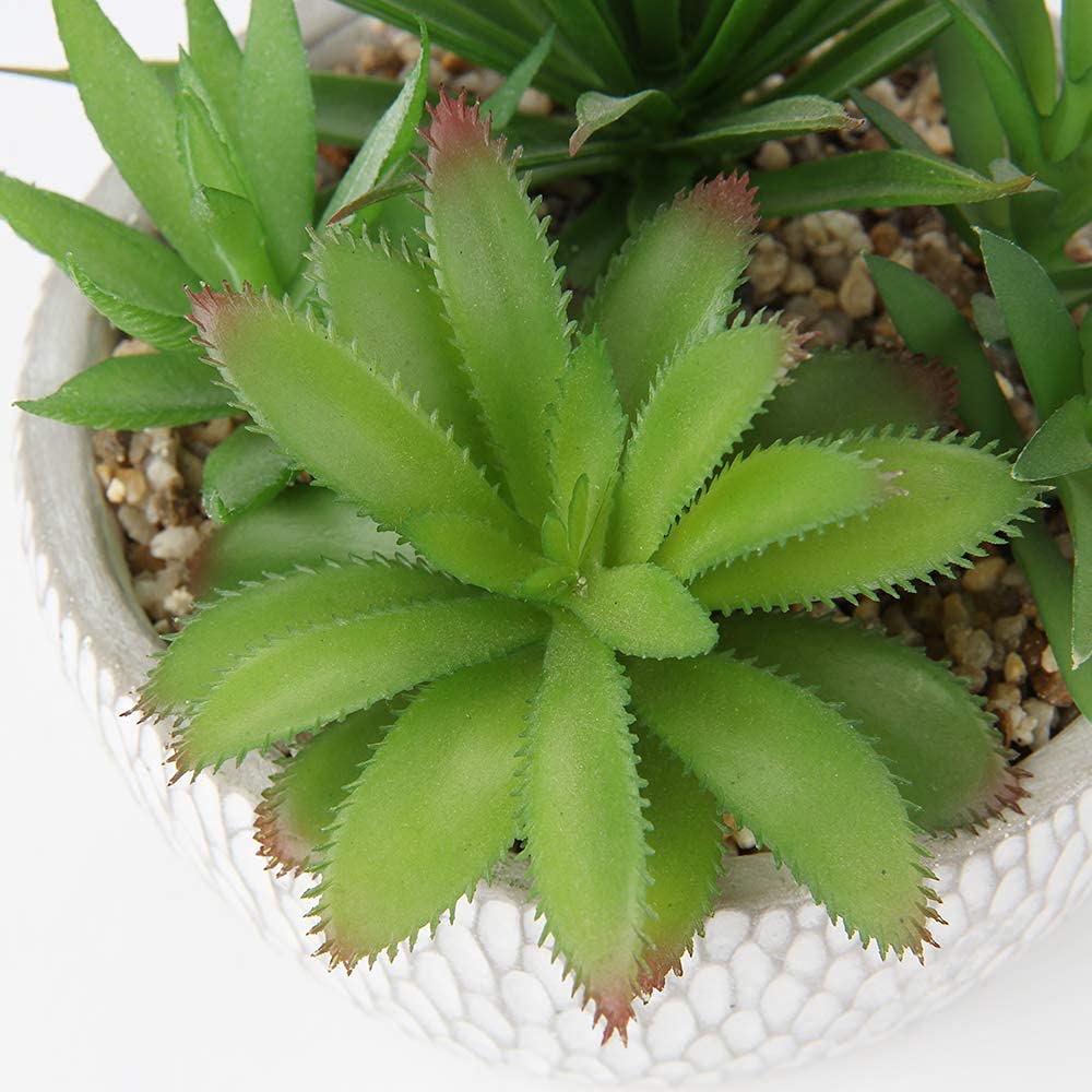 Briful lifelike fake succulents on coffee table create a natural look.