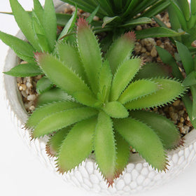 Briful lifelike fake succulents on coffee table create a natural look.
