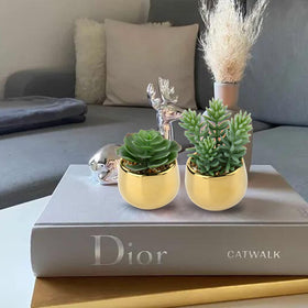 Briful lifelike mini succulents with gold ceramic pots add elegant desk styling