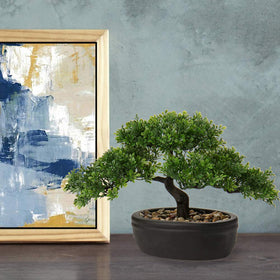 Briful mini ceramic-pot bonsai adds evergreen charm to shelves.