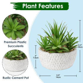 Briful small artificial succulent on cement pot enhances desk or shelf with natural charm.