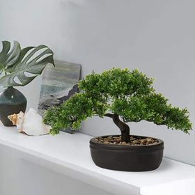Briful miniature bonsai for desks creates a tidy, low-maintenance workspace.