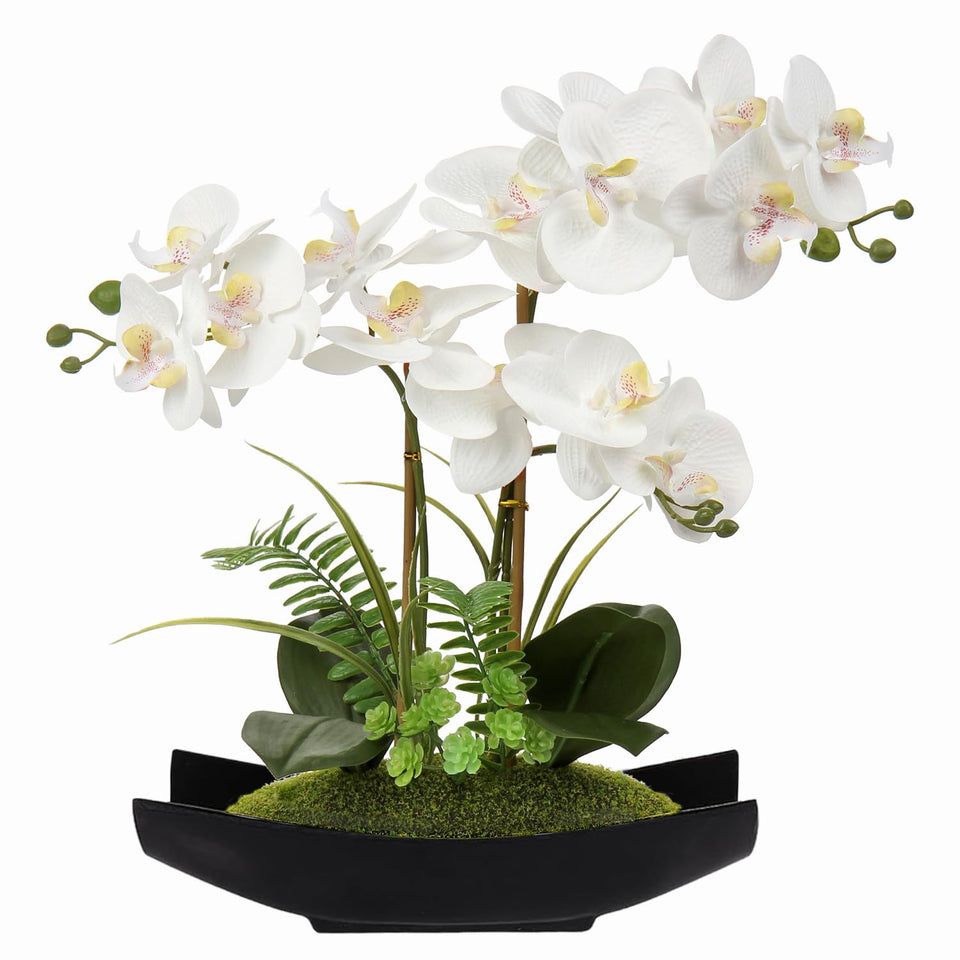 Briful 15in white orchid blooms create a refined centerpiece.