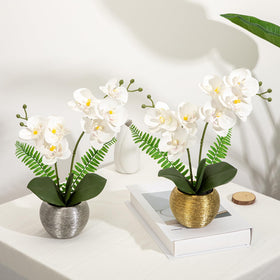 Briful orchid arrangement on desk or shelf adds subtle life.