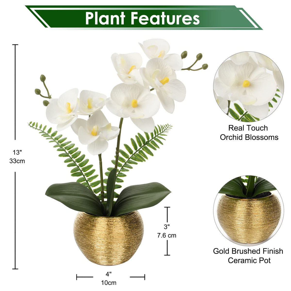 Briful white phalaenopsis orchid close-up in gold ceramic vase highlighting vibrant color.