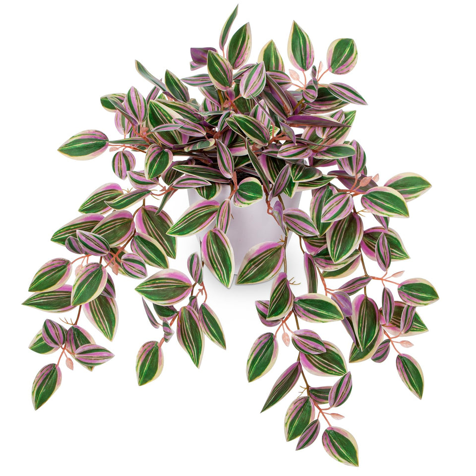 Briful pink watermelon peperomia pot close-up showing lifelike color and durable silk for home decor.