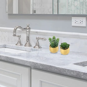 Briful potted succulents with gold ceramic base bring natural color to any room