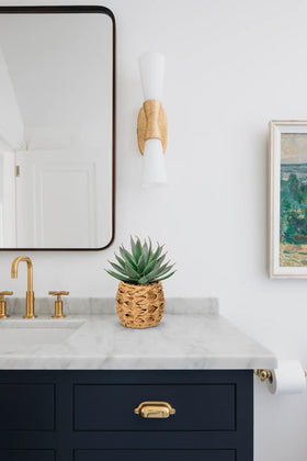 Briful Succulents aloe on desk offers instant style without upkeep.