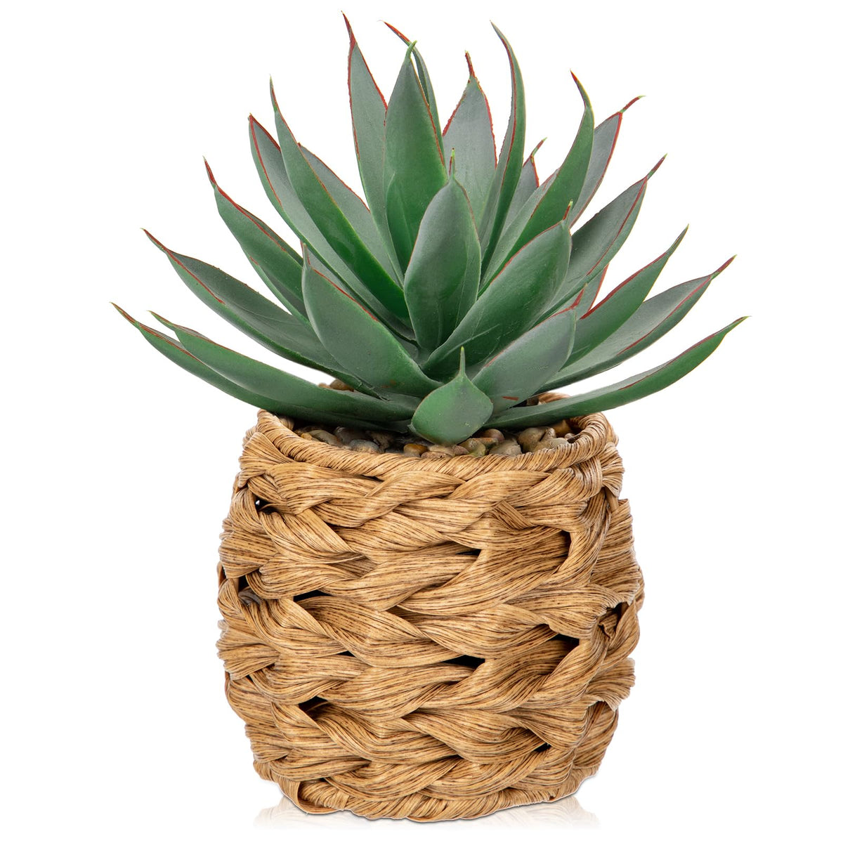 Briful Succulents Aloe in wicker basket offers low-maintenance home decor.