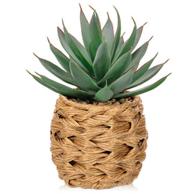Briful Succulents Aloe in wicker basket offers low-maintenance home decor.
