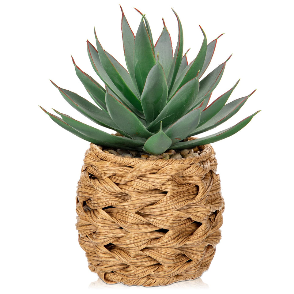 Briful Succulents Aloe in wicker basket offers low-maintenance home decor.