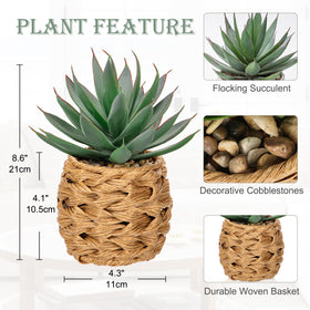 Briful Succulents Aloe leaves close-up highlights lifelike detail for desktop display.