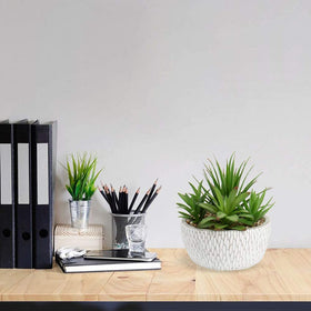 Briful succulents in cement pots for bathroom shelf add subtle color.