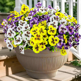 BRIGEA artificial pansy flowers 14-inch bundles illuminate entryways with lasting color.