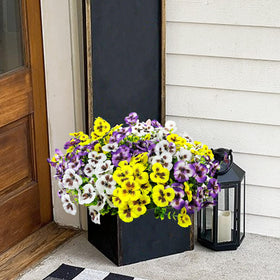 BRIGEA 12 bundles fit front porches, window boxes, and patios.