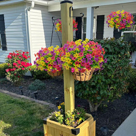 BRIGEA window sill floral display with vibrant, low-maintenance accents