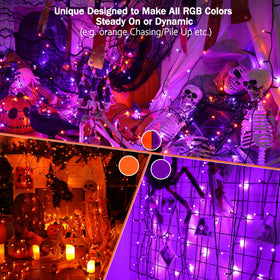 Brizled indoor outdoor decor lights for versatile home or event decoration.