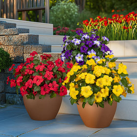 Brlita UV-protected silk and plastic flowers stay bright in sun and rain.