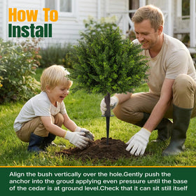 Installation-ready Broiscy topiary cedar tree pair for easy setup