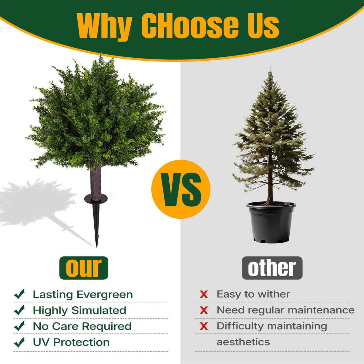 Broiscy topiary cedar trees enhancing outdoor patio ambiance