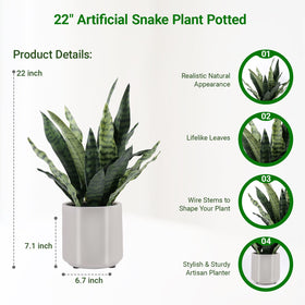 BTHM DSGN 22in fake snake plant full-height view with upright presence