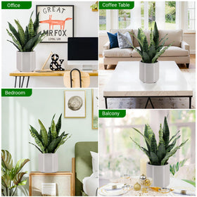 BTHM DSGN fake snake plant full-height view in modern home