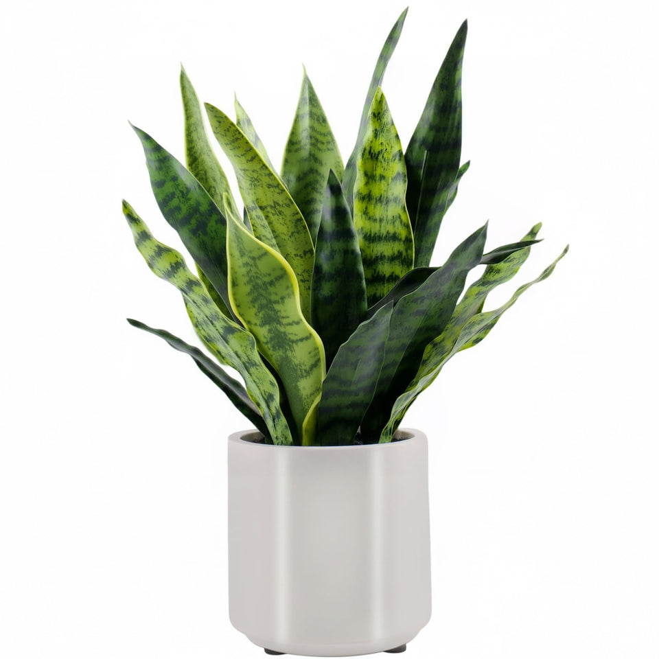 BTHM DSGN fake snake plant close-up leaves showing lifelike texture for decor