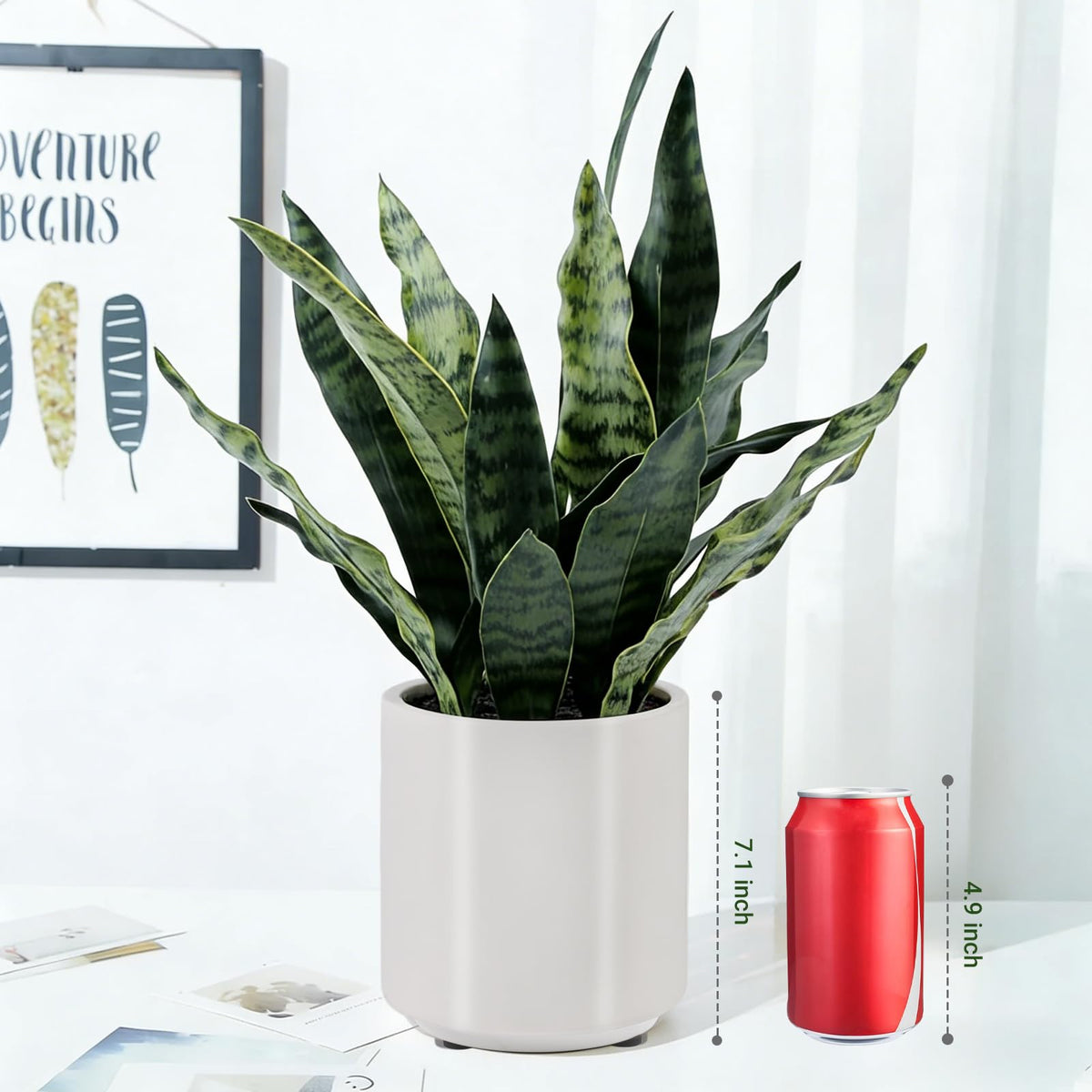 BTHM DSGN living room arrangement featuring tall faux snake plant