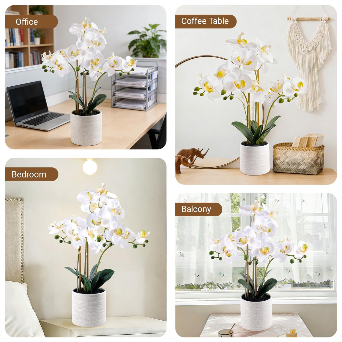 BTHM DSGN 23-inch tall orchid arrangement ideal for office decor and reception desks