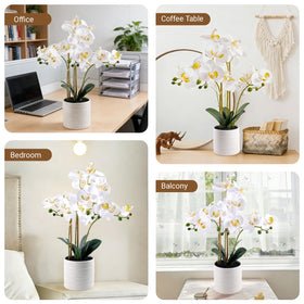 BTHM DSGN 23-inch tall orchid arrangement ideal for office decor and reception desks