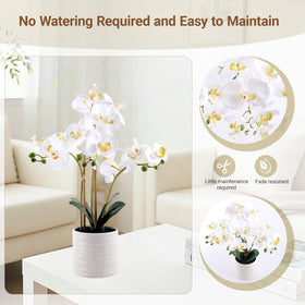 BTHM DSGN maintenance-free orchid leaves with waxy finish for year-round beauty