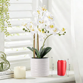 BTHM DSGN artificial orchid centerpiece for living room or dining table