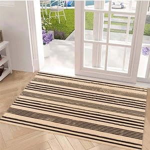 BUAGETUP indoor-outdoor-rug fits both indoor spaces and porches.