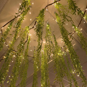 Bucherry jungle vines roll 9.8ft 13mm adds a lush classroom backdrop.