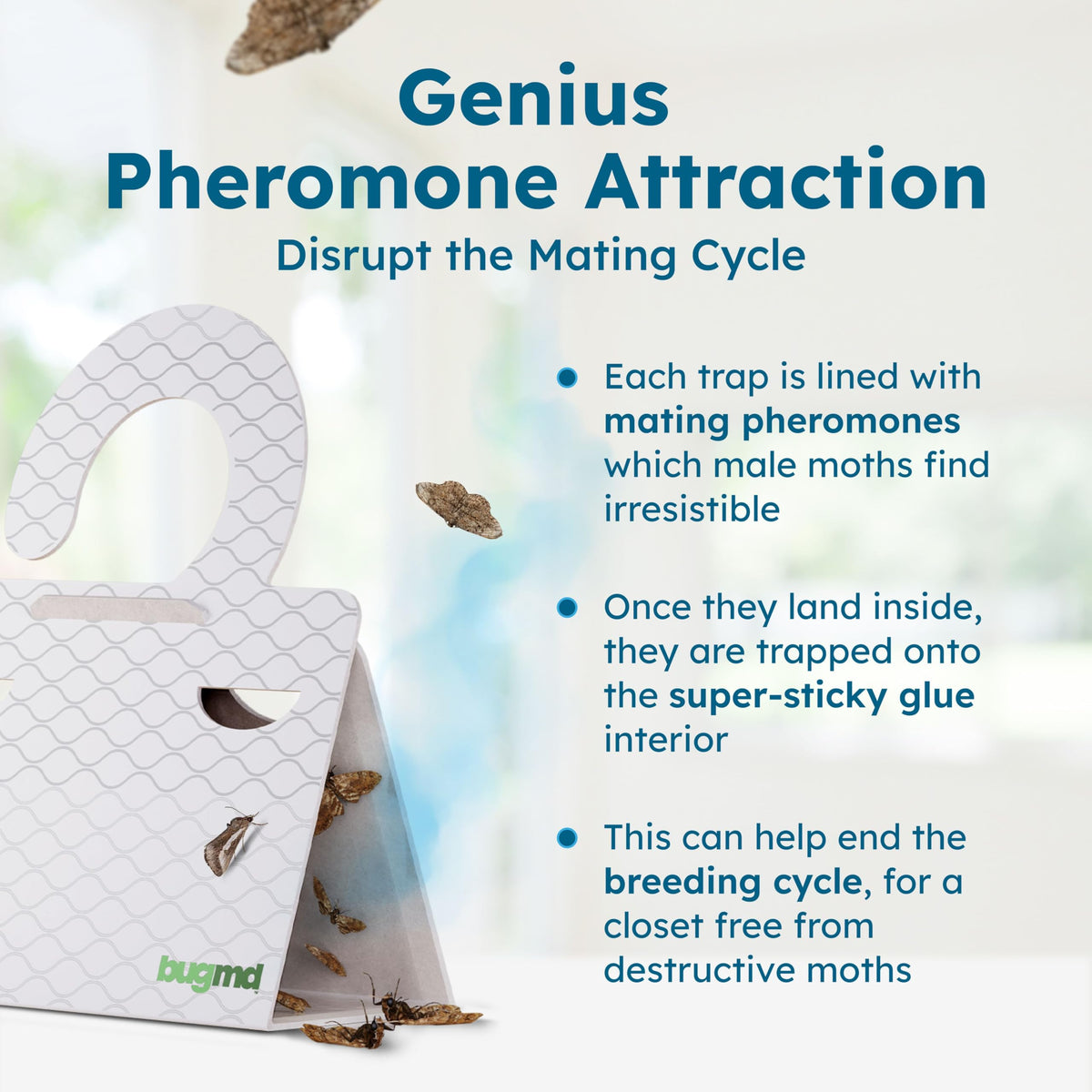 BugMD 18-count pack image highlights value and protection against moths