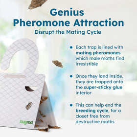 BugMD 18-count pack image highlights value and protection against moths