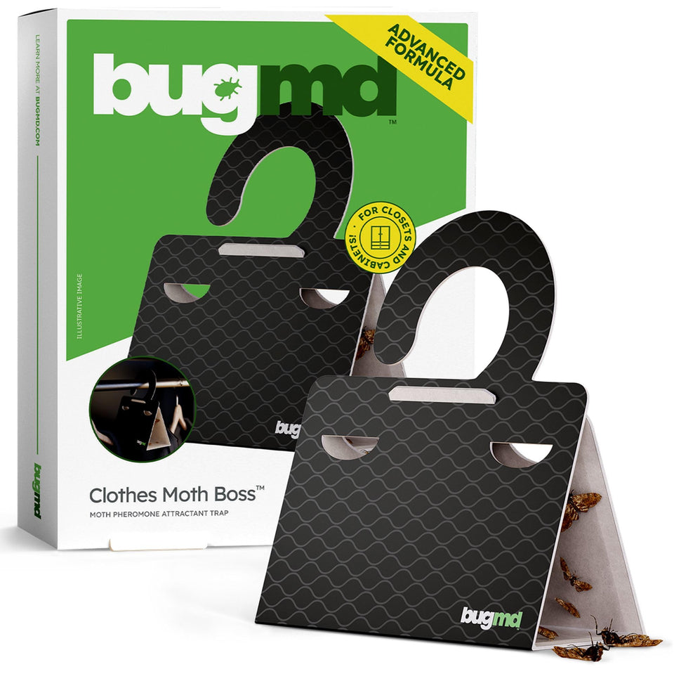 BugMD clothes moth traps placed in a closet, protecting fabrics with non-toxic precision