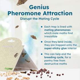 BugMD Pantry Moth Traps discreet-design blends with pantry decor