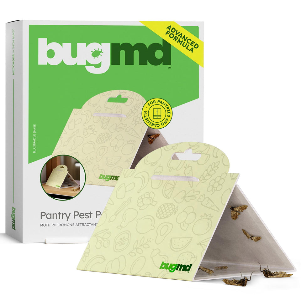 BugMD Pantry Moth Traps strip attracts moths for targeted indoor control